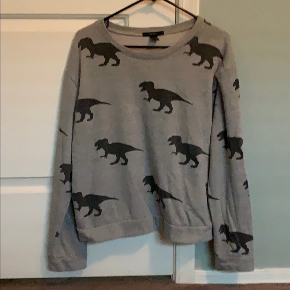 Forever 21 dinosaur sweatshirt